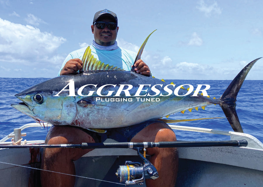 Aggressor - Offshore Plugging Series