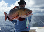 Keeling: Chubby 115