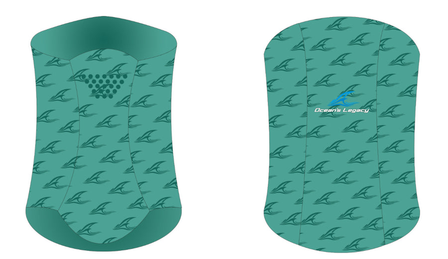 Head Shield