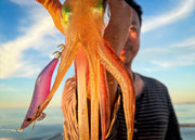 EGI Seeker Dressed Squid Jig 3.5D