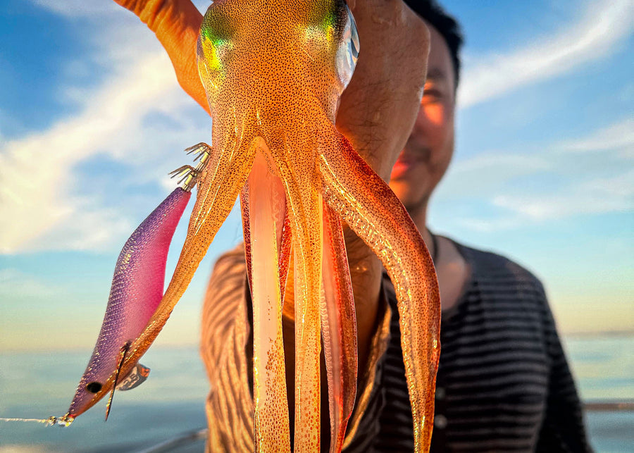 EGI Seeker Dressed Squid Jig 3.5D