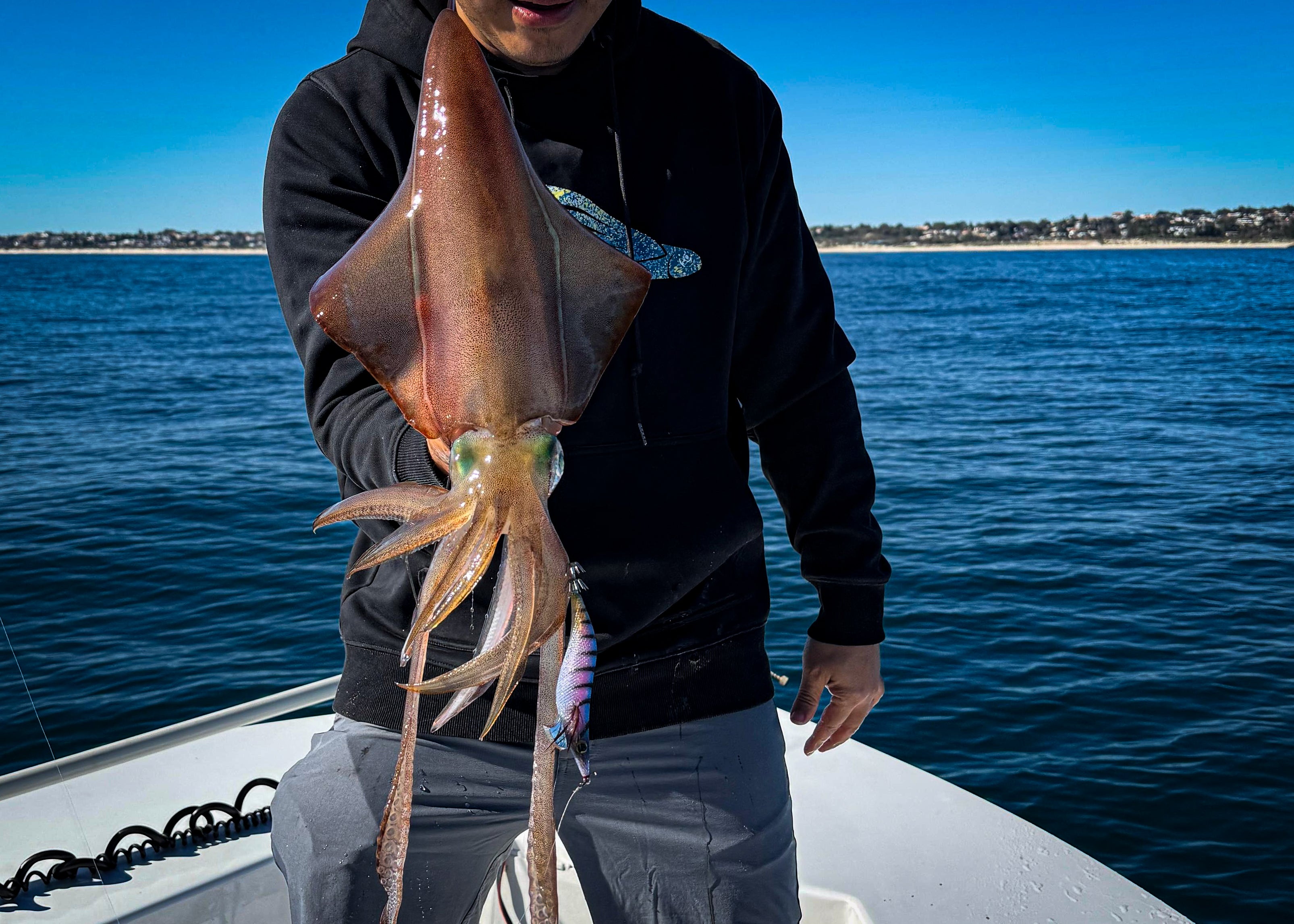 EGI Seeker Dressed Squid Jig 1.8