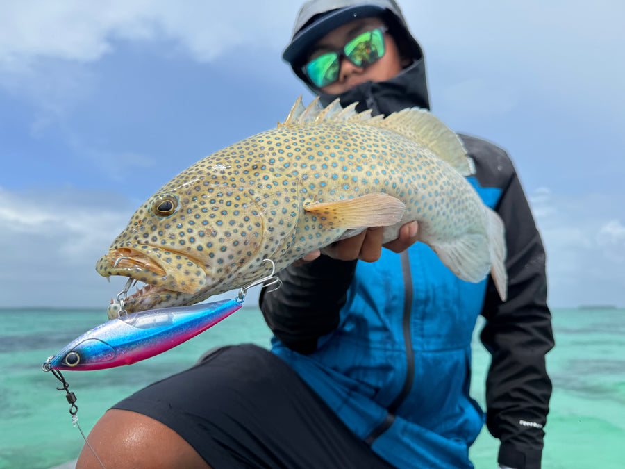 Keeling: Chubby 115