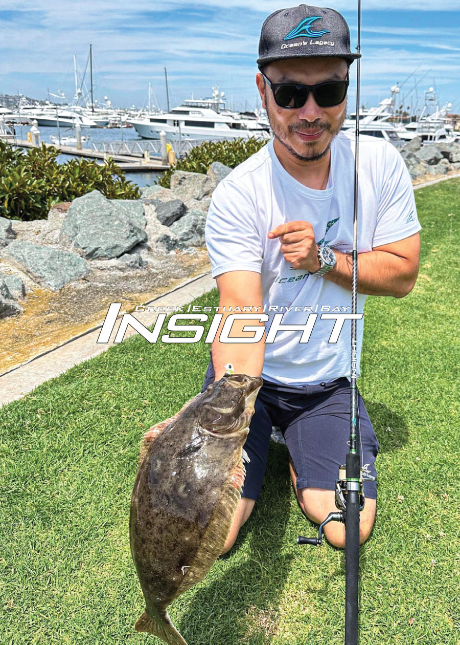 Insight Series