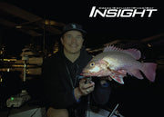 Insight Series