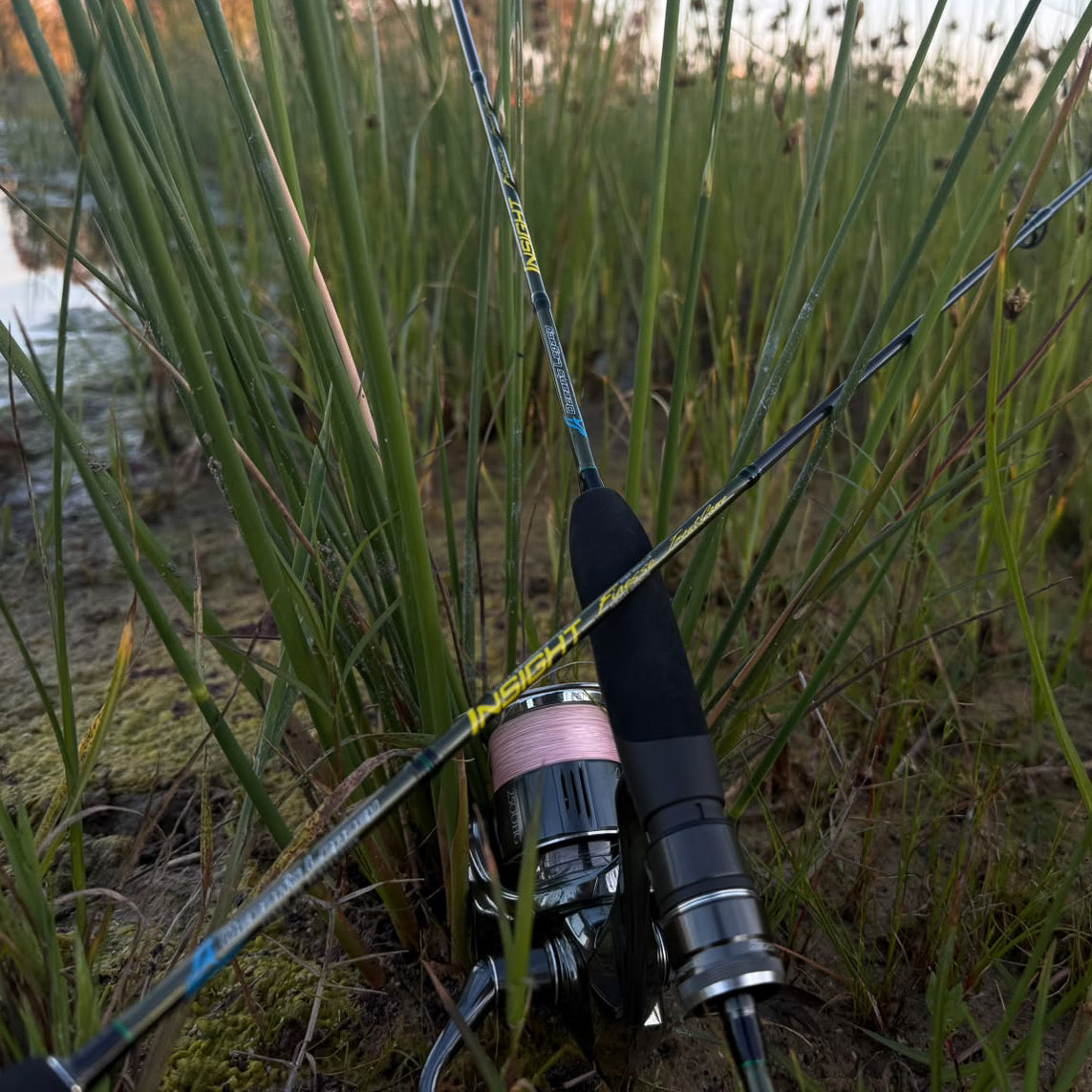 Insight - Finesse: Trout