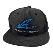 Denim Cap