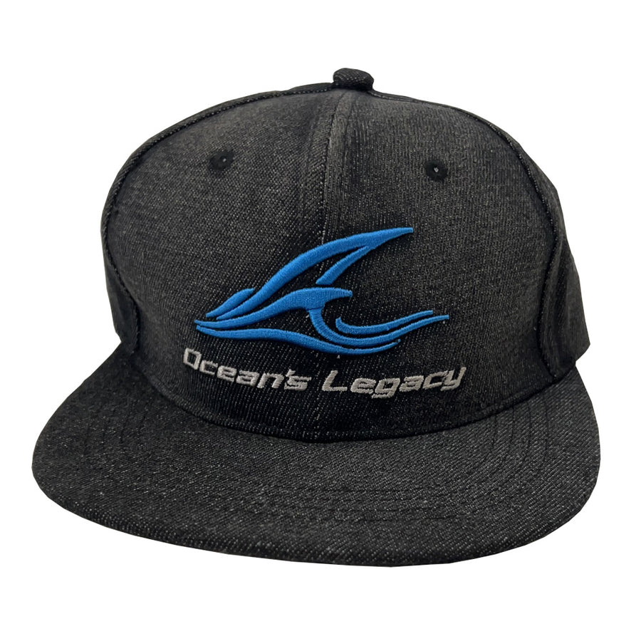 Denim Cap