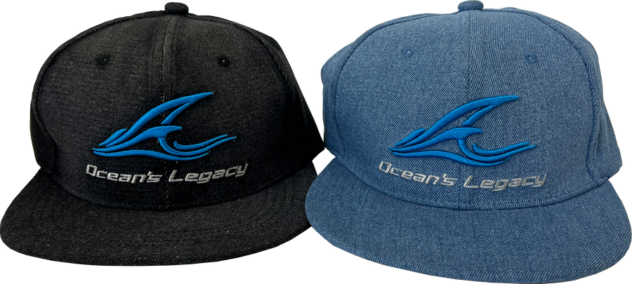 Denim Cap