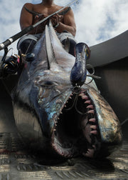 Aggressor - Offshore Plugging: Long Cast Series