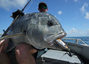 Aggressor - Offshore Plugging: Long Cast Series
