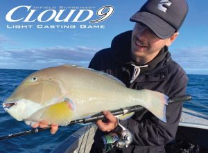 Cloud 9 - Softbait & Lightcasting