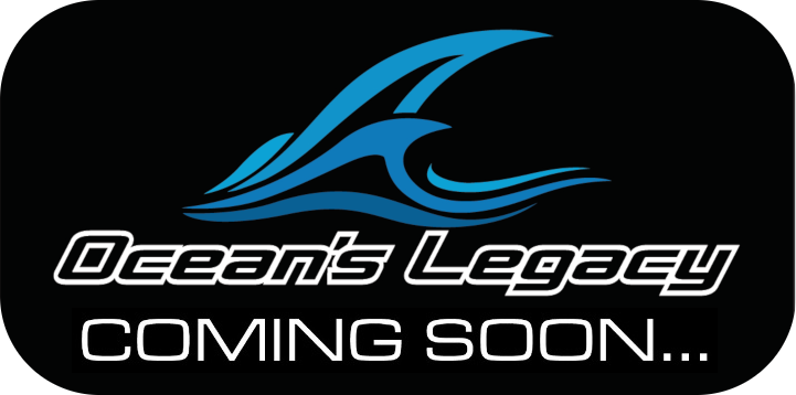 Elementus – Slow Pitch - Ocean's Legacy