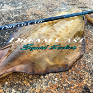 Dream Cast – Squid Seeker - Ocean's Legacy